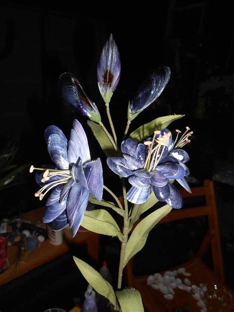 Seashell Flower Tutorial 的图像结果