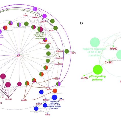 Image result for Mcode Tutorial Cytoscape