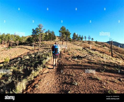 Trekking on the 485 mile Colorado Trail, Colorado Stock Photo - Alamy