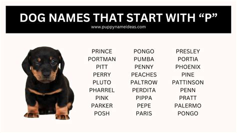 Indian Names That Start With P Boy at Audrey Tyler blog