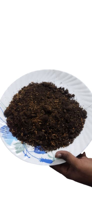 Image result for Coco Peat Sticker High Resolution