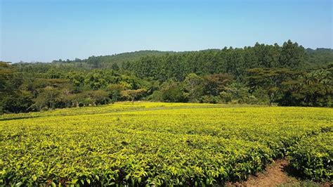 All The Reasons Why You Should Visit Malawi, Africa NOW!