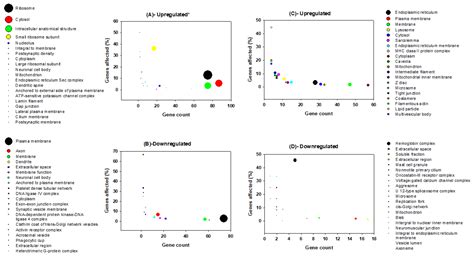 Differential Gene Expression in Brain and Liver Tissue of Wistar Rats ...