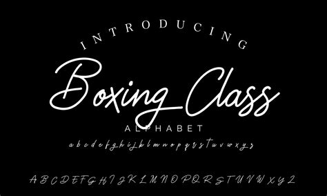 Image result for Sign Lettering Script Fonts