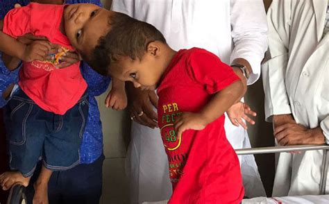 RSS Affilate Demands To Ban Friday Namaz At Taj Mahal, Doctors ...