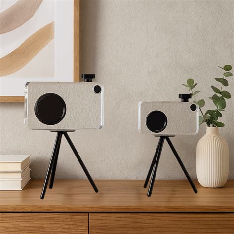 Clear Camera Forms – Bell'arte