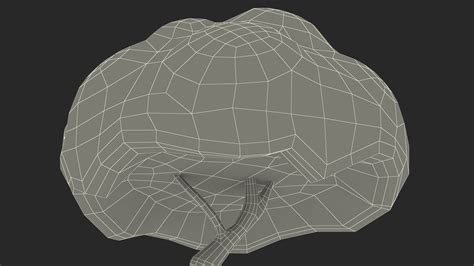 Small Cartoon Tree Crooked Handpaint Texture 3D model | 3D Molier ...