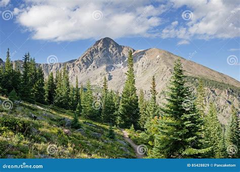 Mount Holy Cross stock image. Image of trees, pass, cross - 85428829