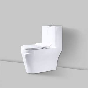 Drops Luxury Bathware ONE PIECE CLOSET SIPHONIC S TRAP 12"(300MM) Floor ...