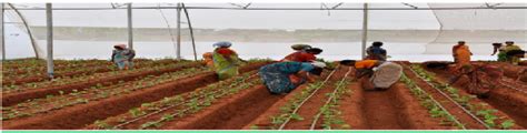 Next Generation Revolution in Indian Farming…Green House