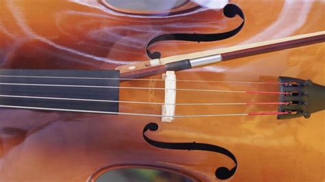 Image result for Viola String Instrument