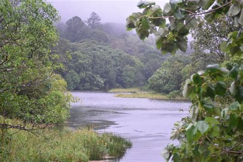 THE 10 BEST Resorts near Gavi Forest, Updated Prices