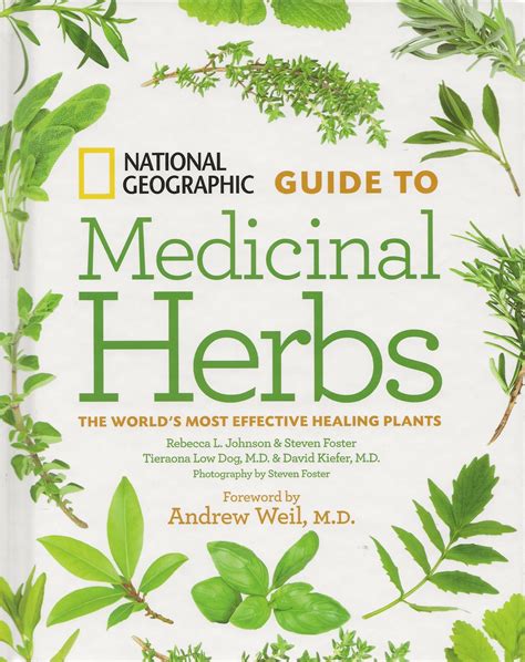 Guide to Medicinal Herbs | Rebecca Johnson Books