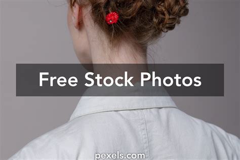 Image result for Free Short Clips for Video Editing