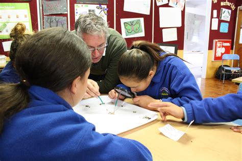 Image result for Developing Experts