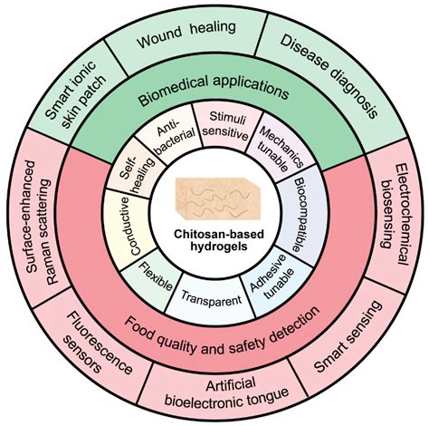 Chitosan-Based Hydrogels for Bioelectronic Sensing: Recent Advances and ...