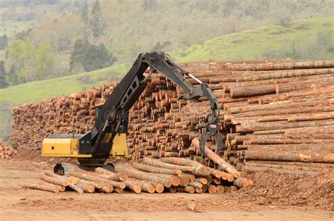 Image result for Small Excavator Logging