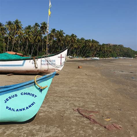 COCO BEACH - All You Need to Know BEFORE You Go 2026 (with Photos ...