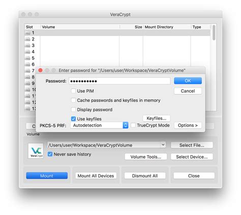 Image result for How to Unencrypt Veracrypt File