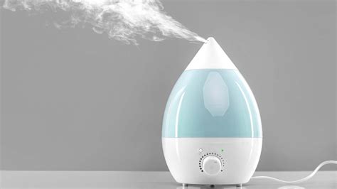 Image result for Humidor Humidifier
