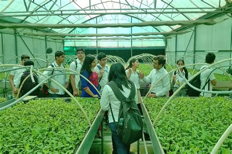 Amity International School | Best International School in Saket