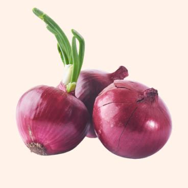 JioKrishi - Smart Agriculture Solutions