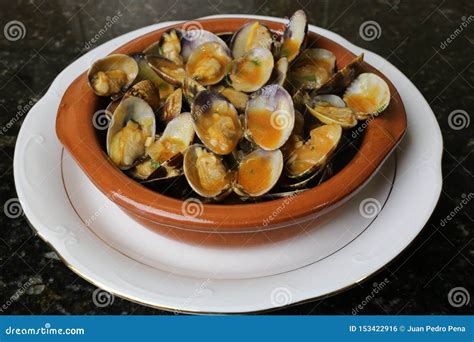 Clams in Seafood Sauce Typical Andalusian and Spanish Cuisine Stock ...