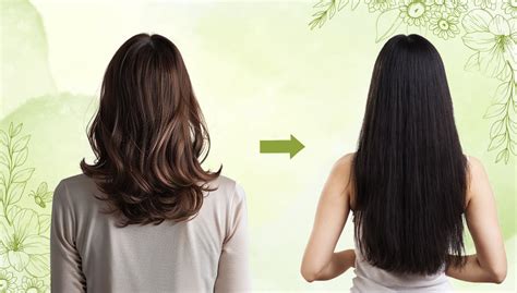 Mool Hair Growth Capsules for Hair Regrowth | Sheopals