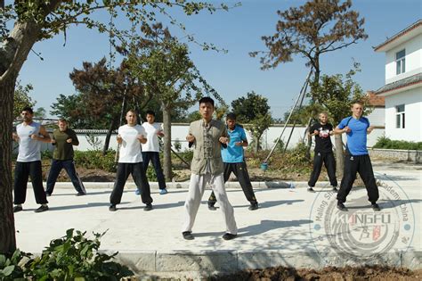Image result for Tutorial Wing Chun