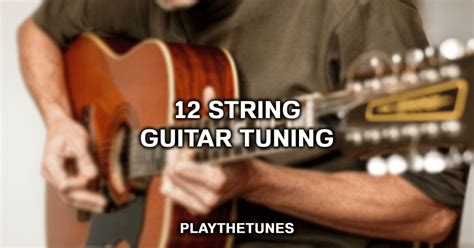 Image result for Twelve-string guitar Tuning