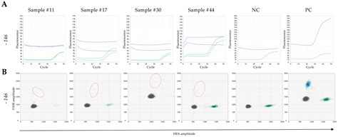 TERTmonitor Efficacy and Performance in Detecting Mutations by Droplet ...