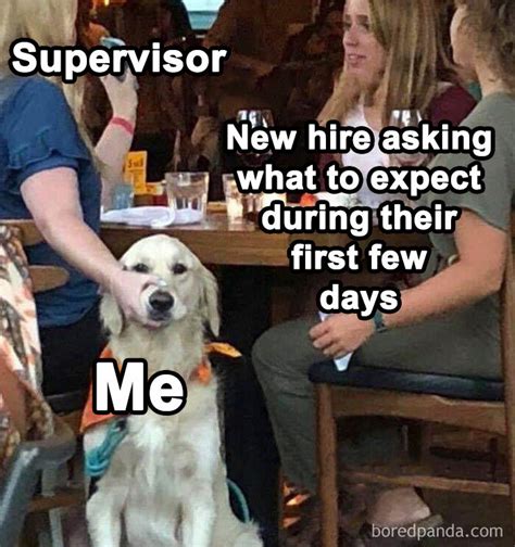 Busy Work Funny 的图像结果