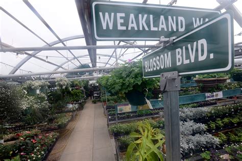 Photos: The Flower Bin in Longmont Celebrates 50-Years – Boulder Daily ...