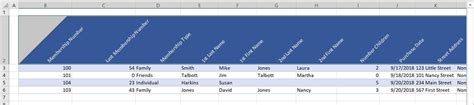 Image result for Excel Header Formatting