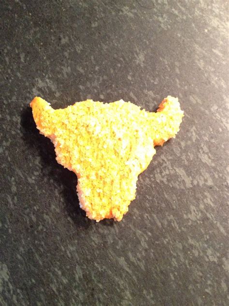 Cute Longhorn Cookies at Whole Foods