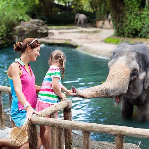 The 10 Best Zoos in The United States