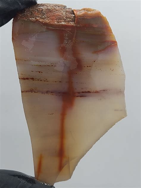 Lapidary Slabs 的图像结果