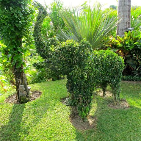 CASA KUKANA (Sayulita) - Villa Reviews & Photos - Tripadvisor