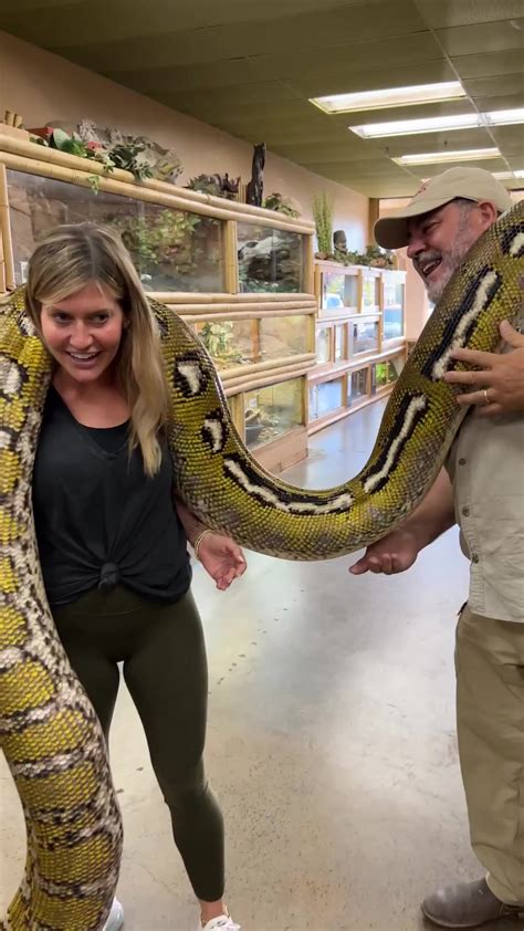 Image result for Python's Zoos Kaa Giant