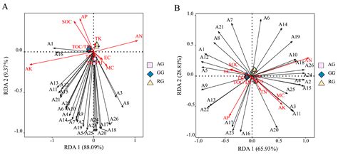 Impact of Different Land-Use Types on Soil Microbial Carbon Metabolism ...