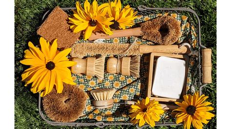 Image result for Zero Waste Cleaning