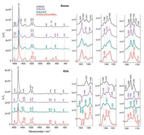 Resonance Raman Optical Activity Spectroscopy in Probing Structural ...