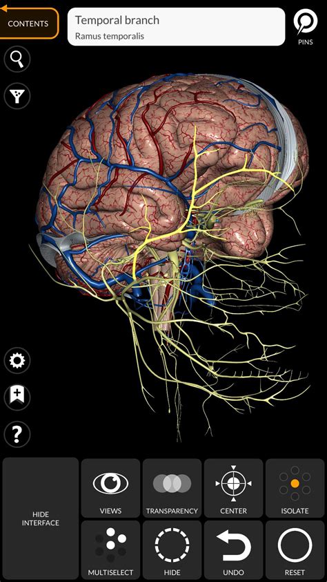 Anatomy 3D Atlas APK for Android Download