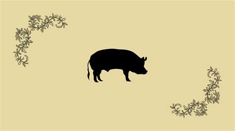 La Diosa de la Obesidad (feederism) - Politica - Wattpad