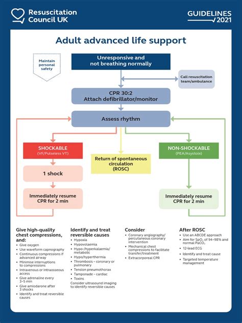 Advanced Trauma Life Support Algorithm 的图像结果