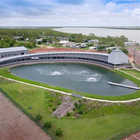 Barramundi Discovery Centre & Hatchery Karumba - 2022 What to Know ...