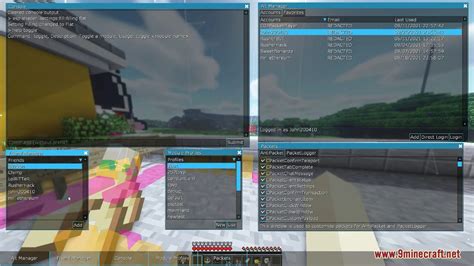 Image result for Reach Hack Client