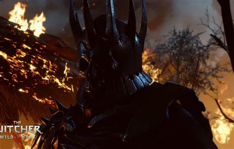 Wallpaper fire, the Witcher, rpg, the wild hunt, wild hunt, the witcher ...