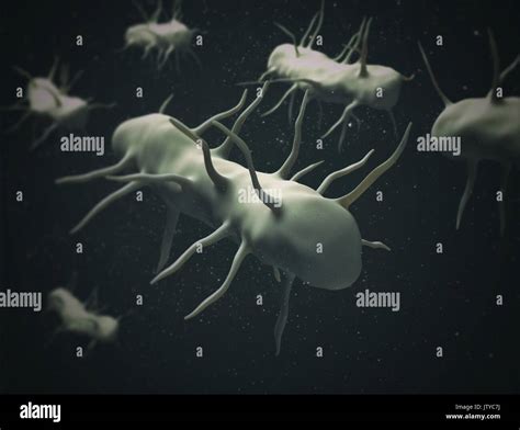 Microscopic Bacteria Cell 的图像结果