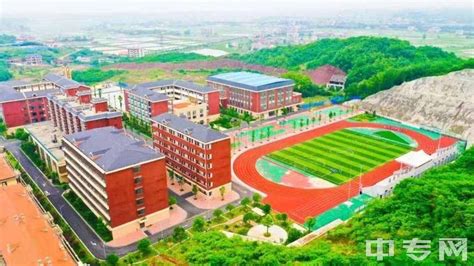 打造家门口好学校，这3所学校在闵行浦江揭牌9月开学_市政厅_新民网
